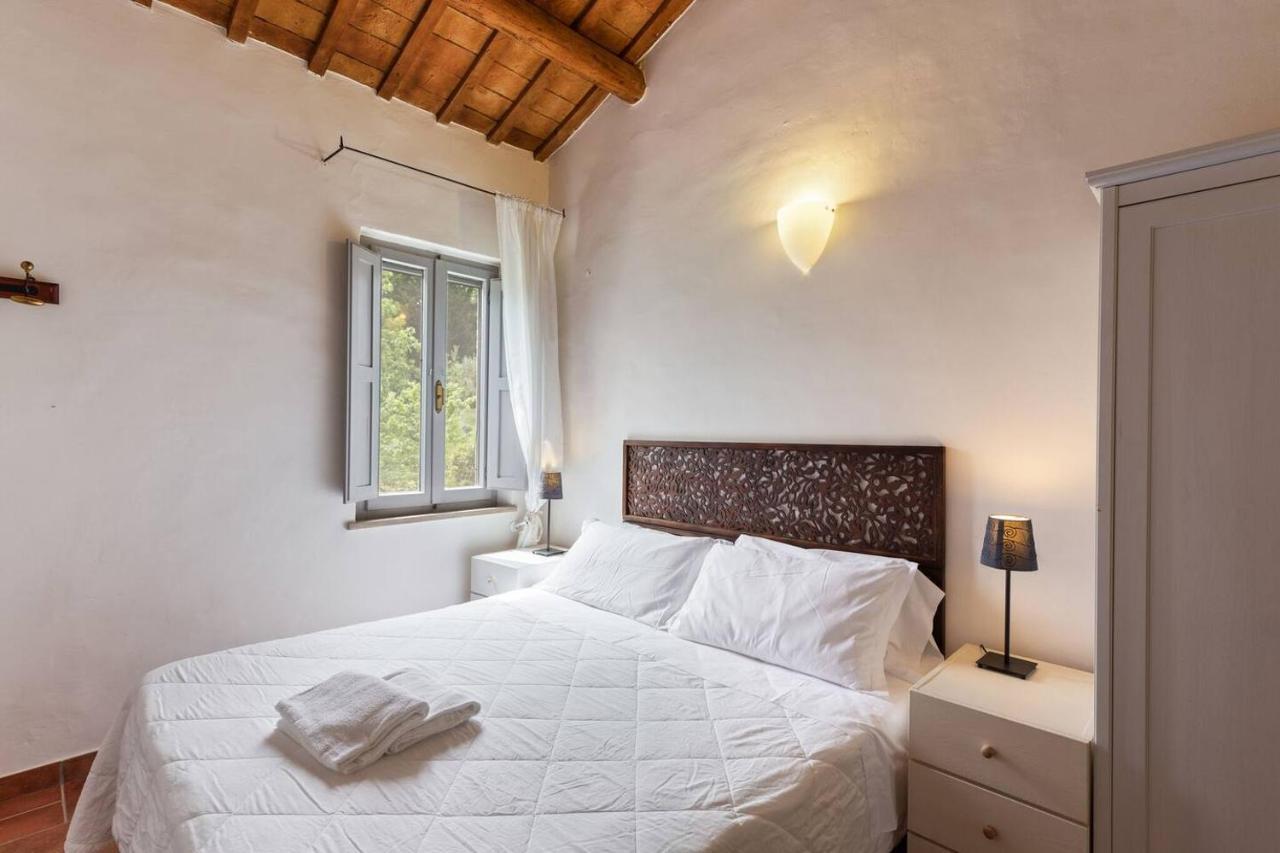Grande Villa Storica Per Vacanze Con Giardino Privato E Piscina Ostra Luaran gambar