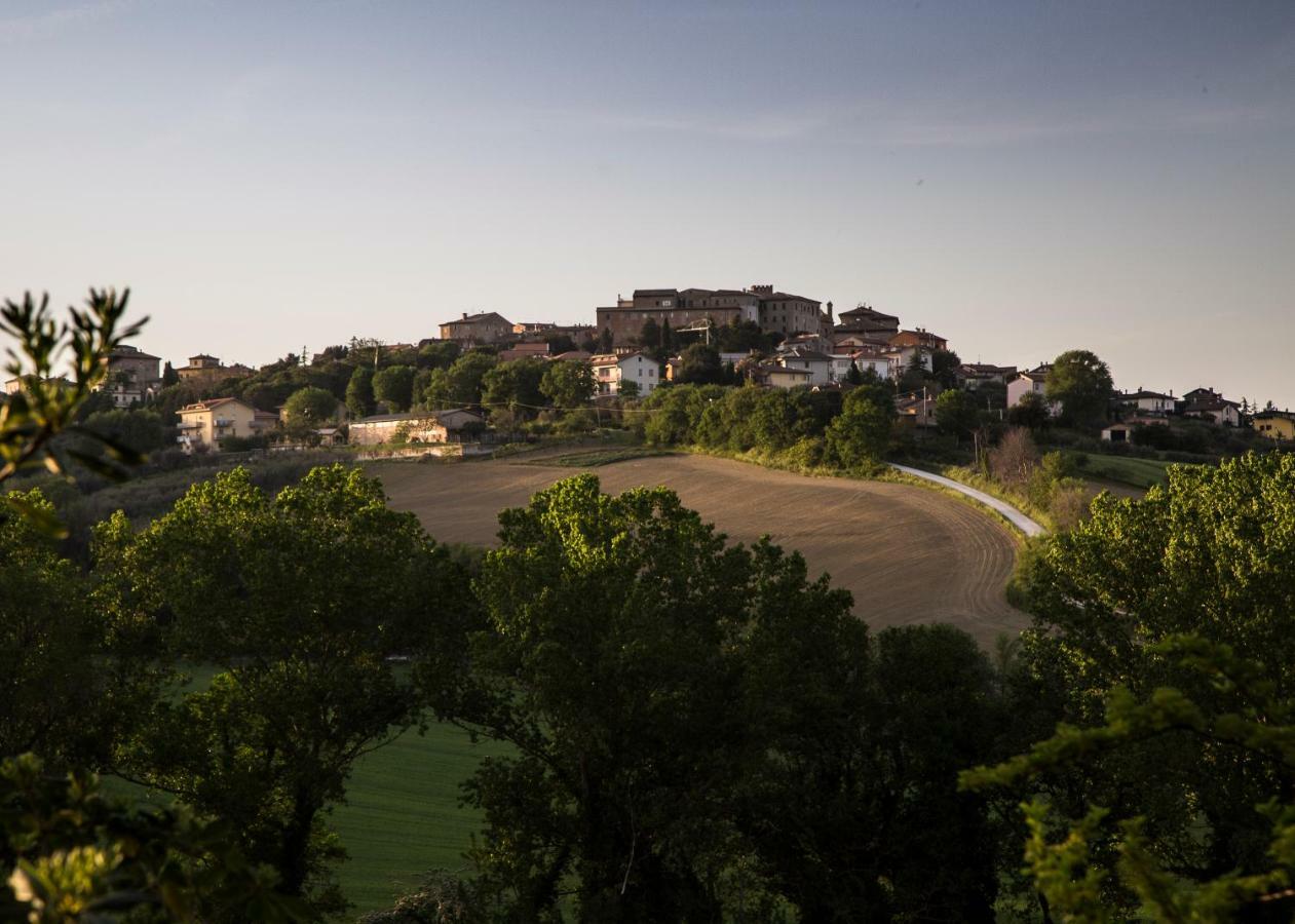 Grande Villa Storica Per Vacanze Con Giardino Privato E Piscina Ostra Luaran gambar
