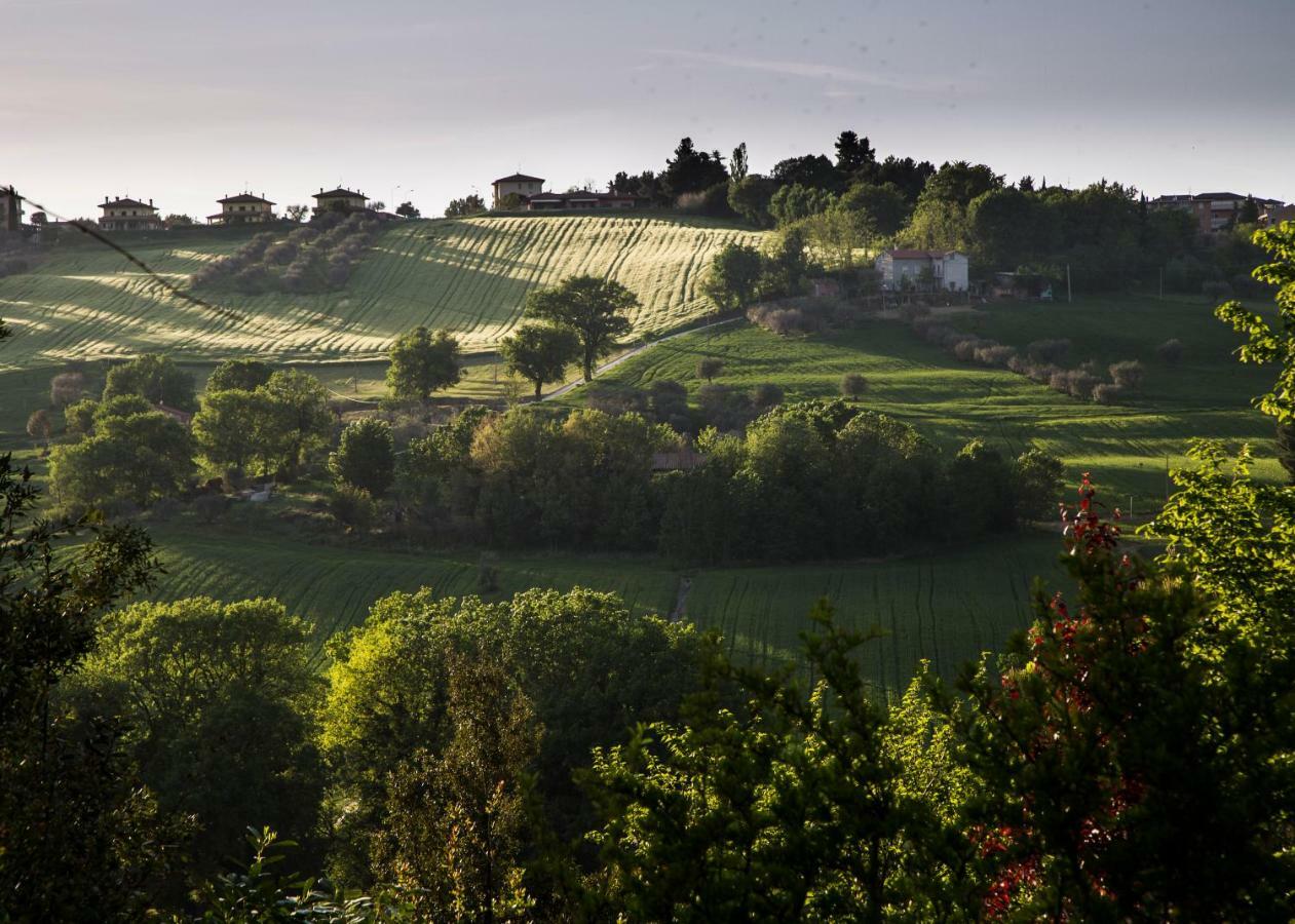 Grande Villa Storica Per Vacanze Con Giardino Privato E Piscina Ostra Luaran gambar