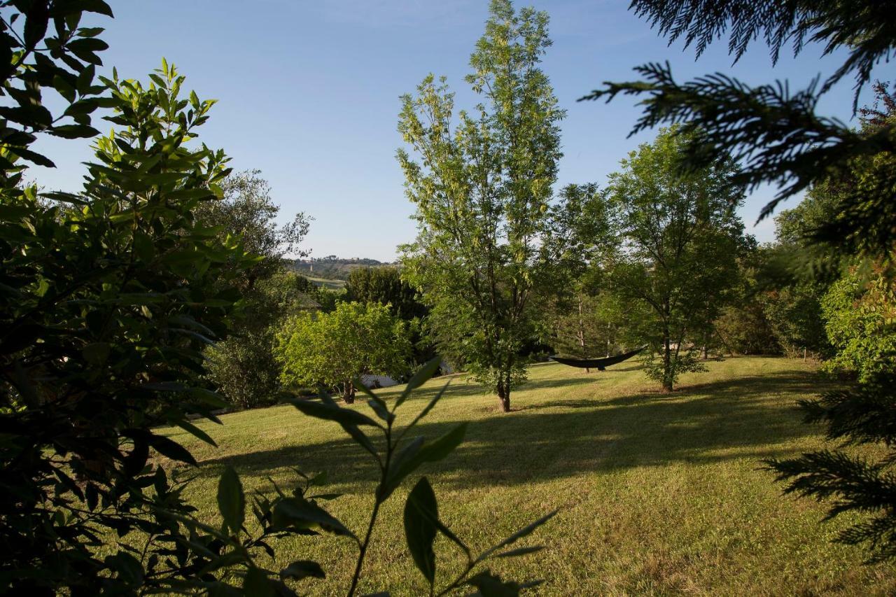 Grande Villa Storica Per Vacanze Con Giardino Privato E Piscina Ostra Luaran gambar