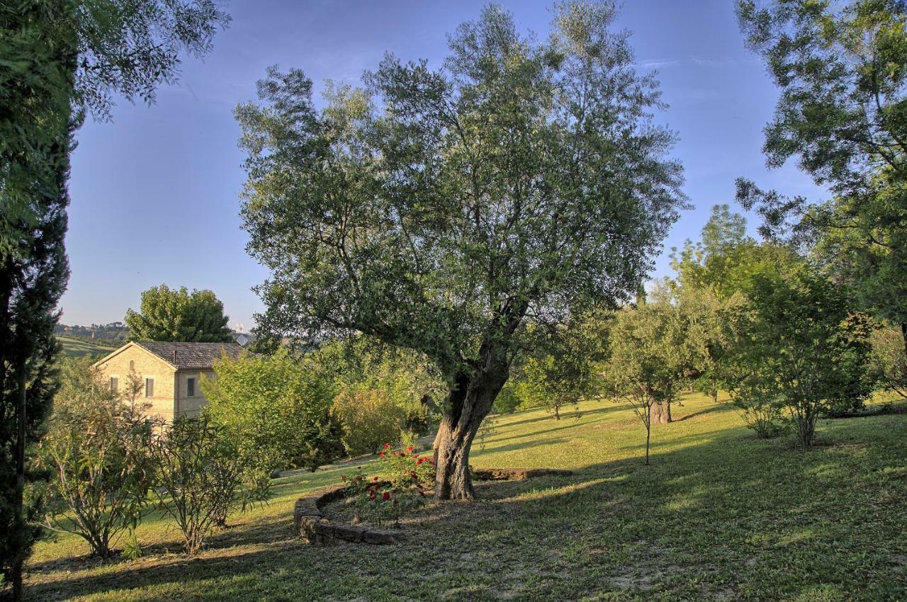 Grande Villa Storica Per Vacanze Con Giardino Privato E Piscina Ostra Luaran gambar