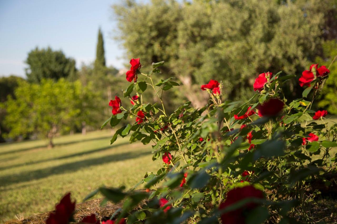 Grande Villa Storica Per Vacanze Con Giardino Privato E Piscina Ostra Luaran gambar